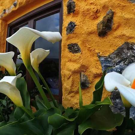 Landsted Country Private