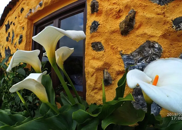 Casa rural Country Private